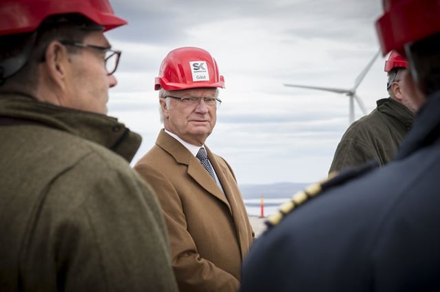 a20980fd8ac1999c_800x800ar