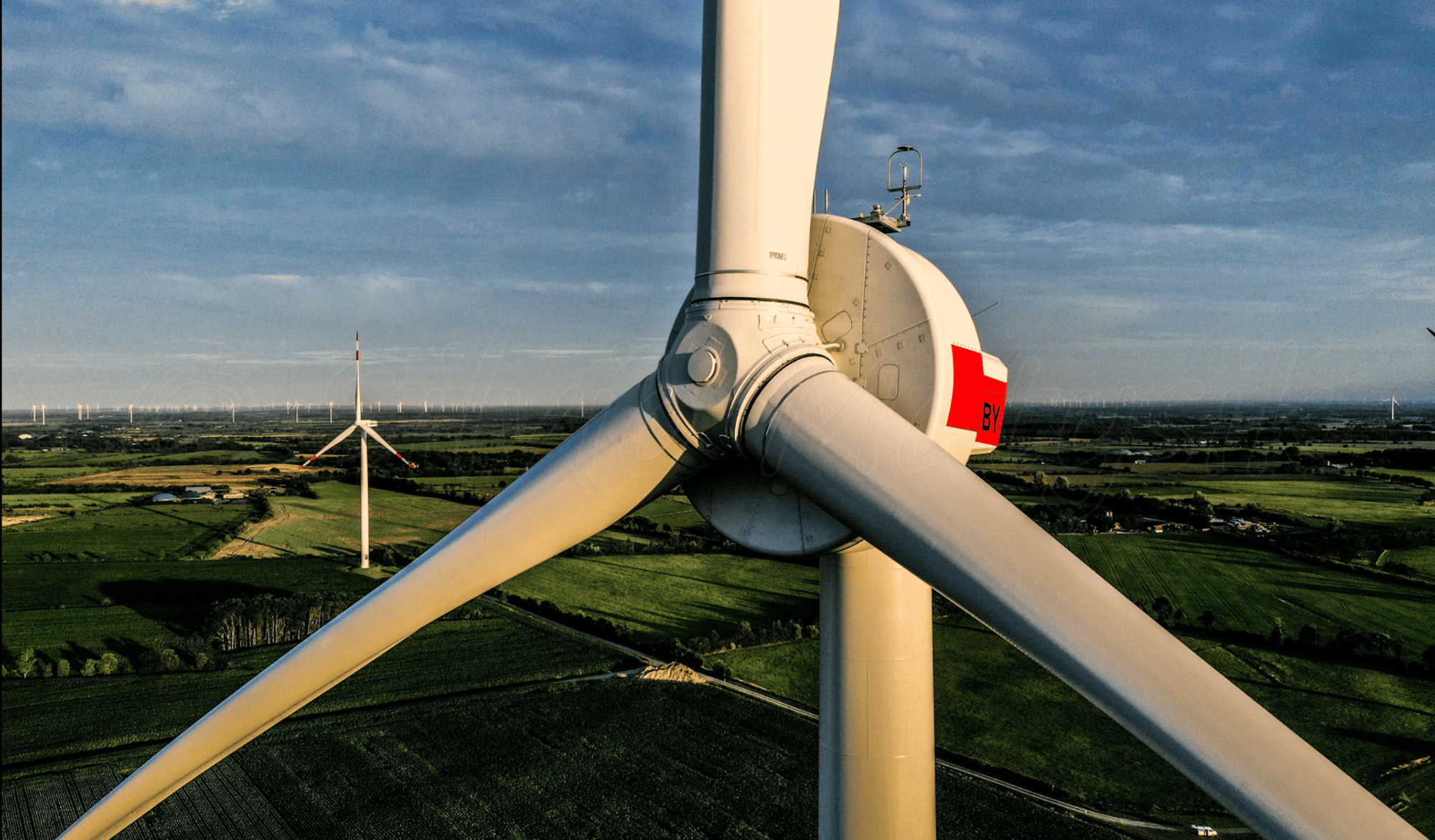 Screenshot 2025-03-20 at 07.59.45